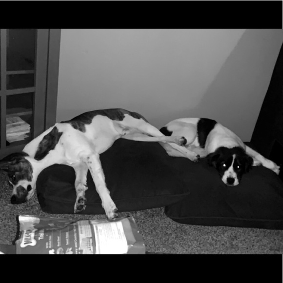 Meet your Posher, Stephen - Picture 1 of 1